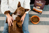 How to Check Your Dogs Digestive Health
