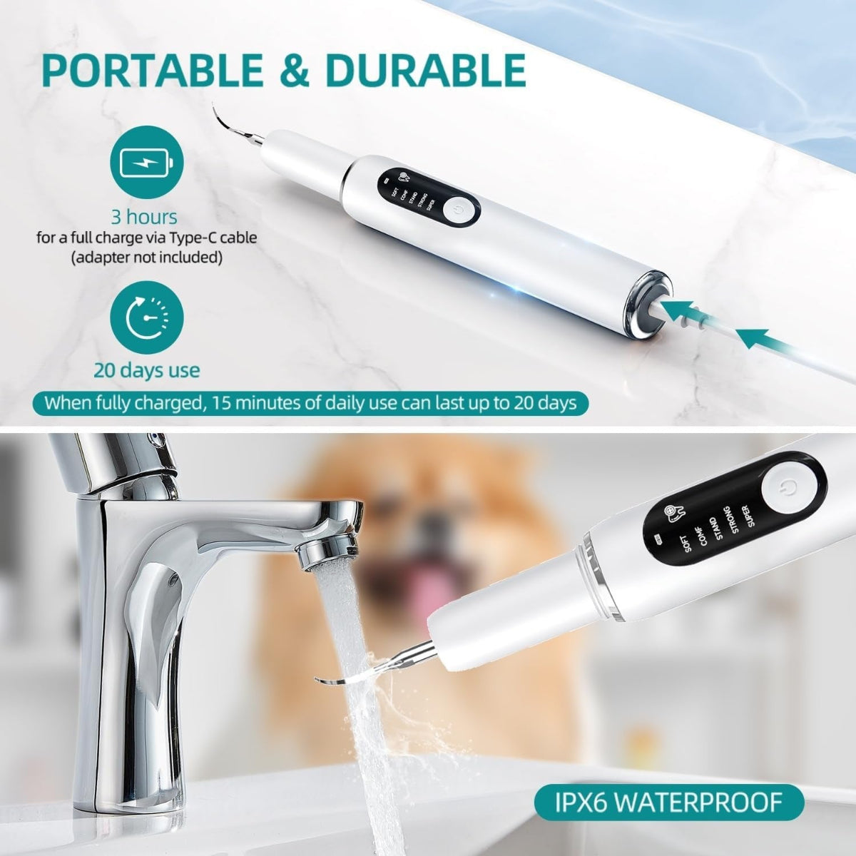 Ultrasonic Dog Toothbrush Kit