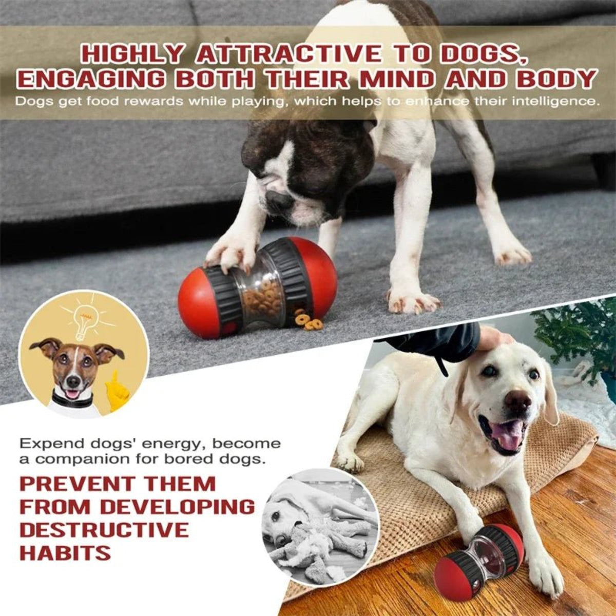 Interactive Increase Intelligence Durable Elliptical Food Rolling Ball - Best Buddy Store