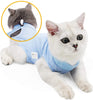 Cat Wound Surgery Recovery Suit - BestBuddyStore