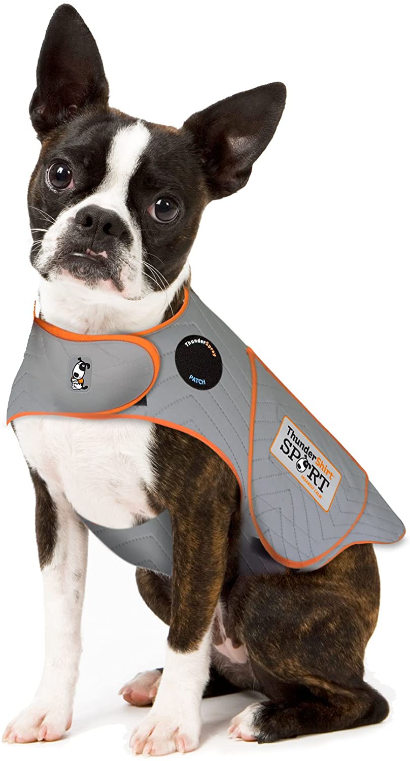 Dog Anxiety Sport  Vest Shirt - BestBuddyStore