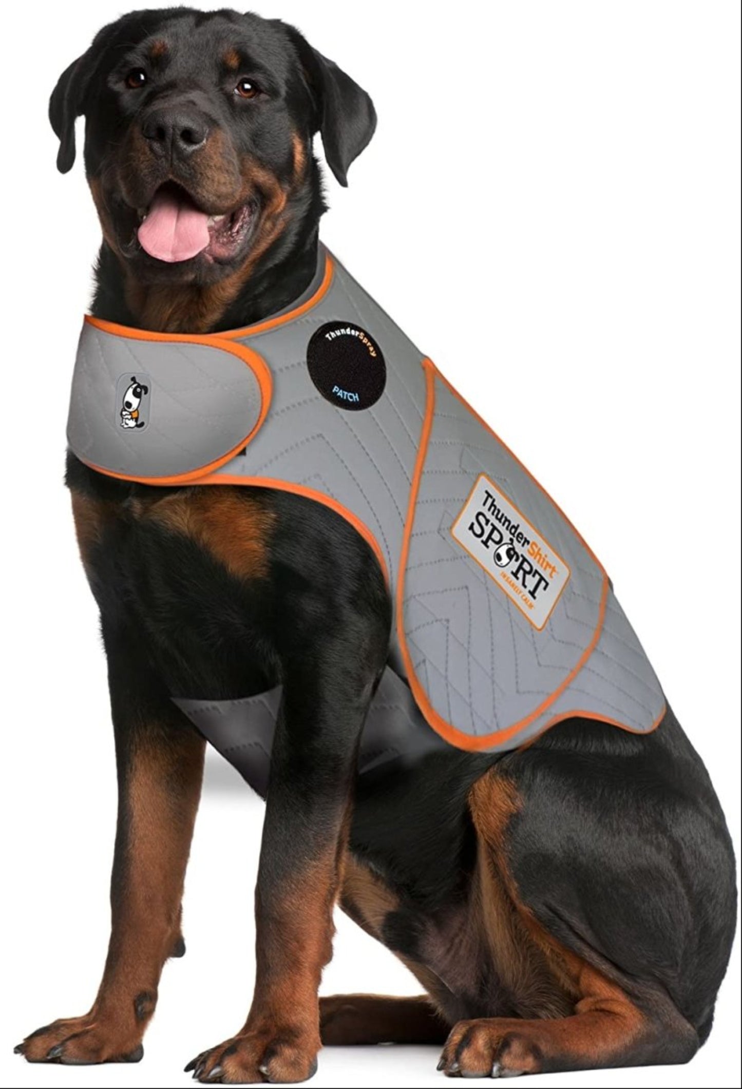 Dog Anxiety Sport Vest Shirt - Best Buddy Store