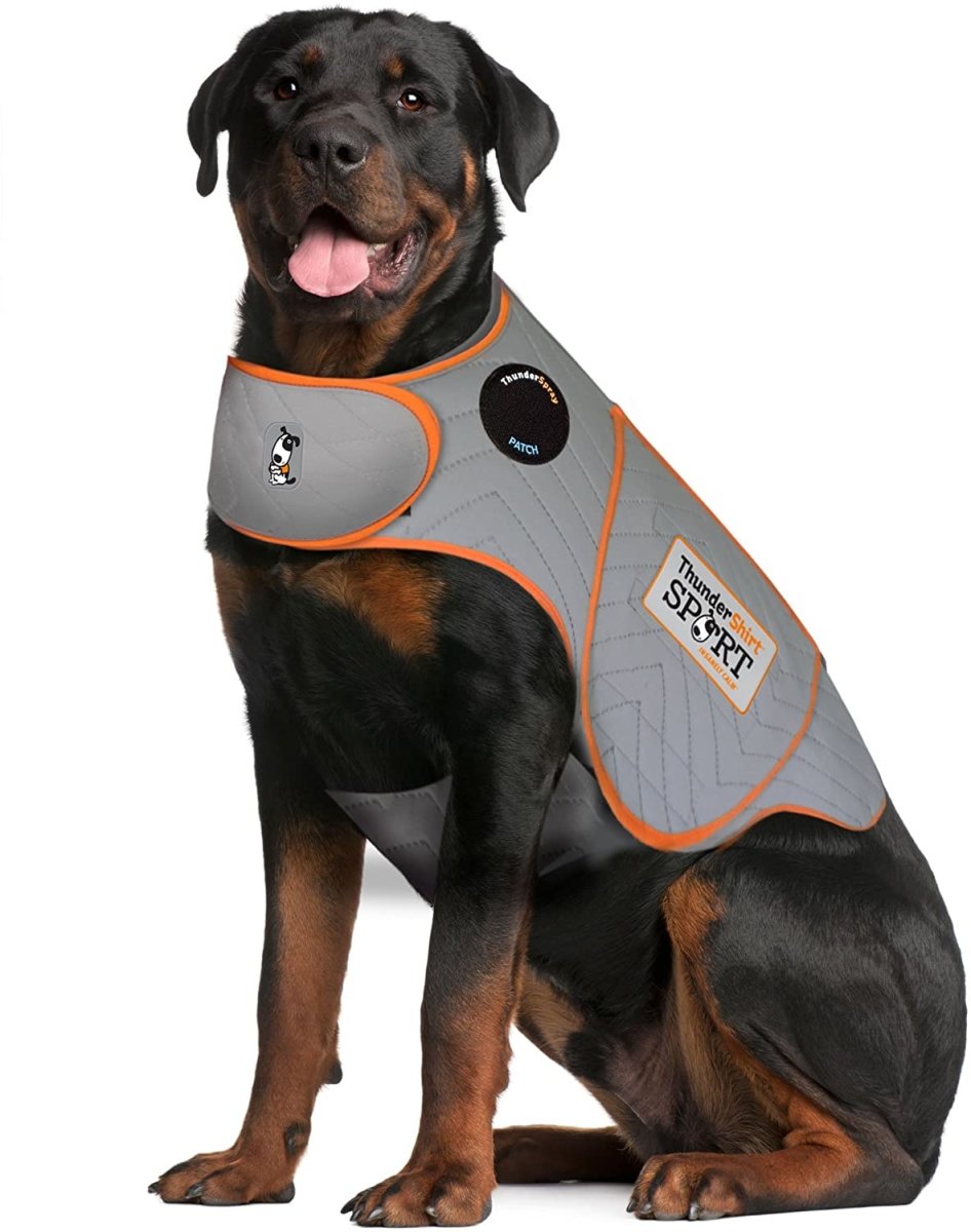 Dog Anxiety Sport Vest Shirt - Best Buddy Store