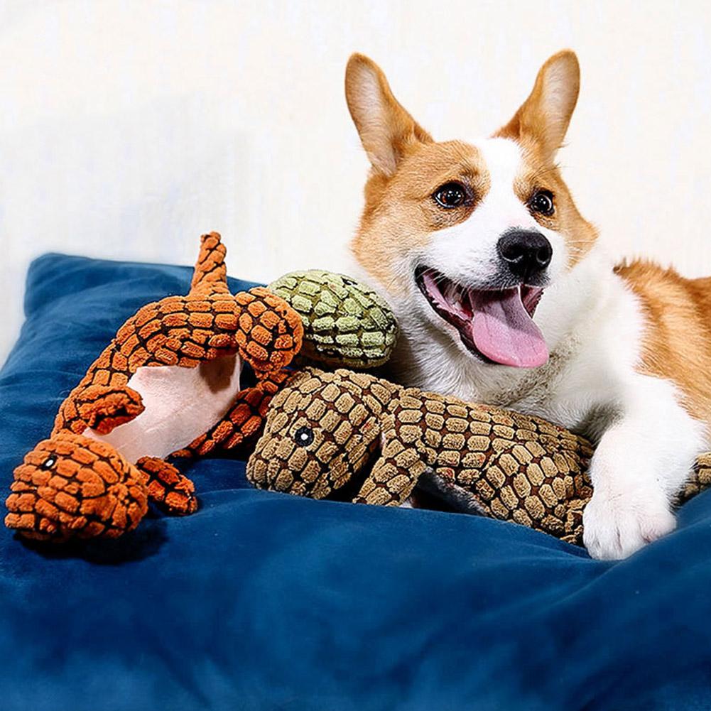 Dog Chew Toy - Best Buddy Store