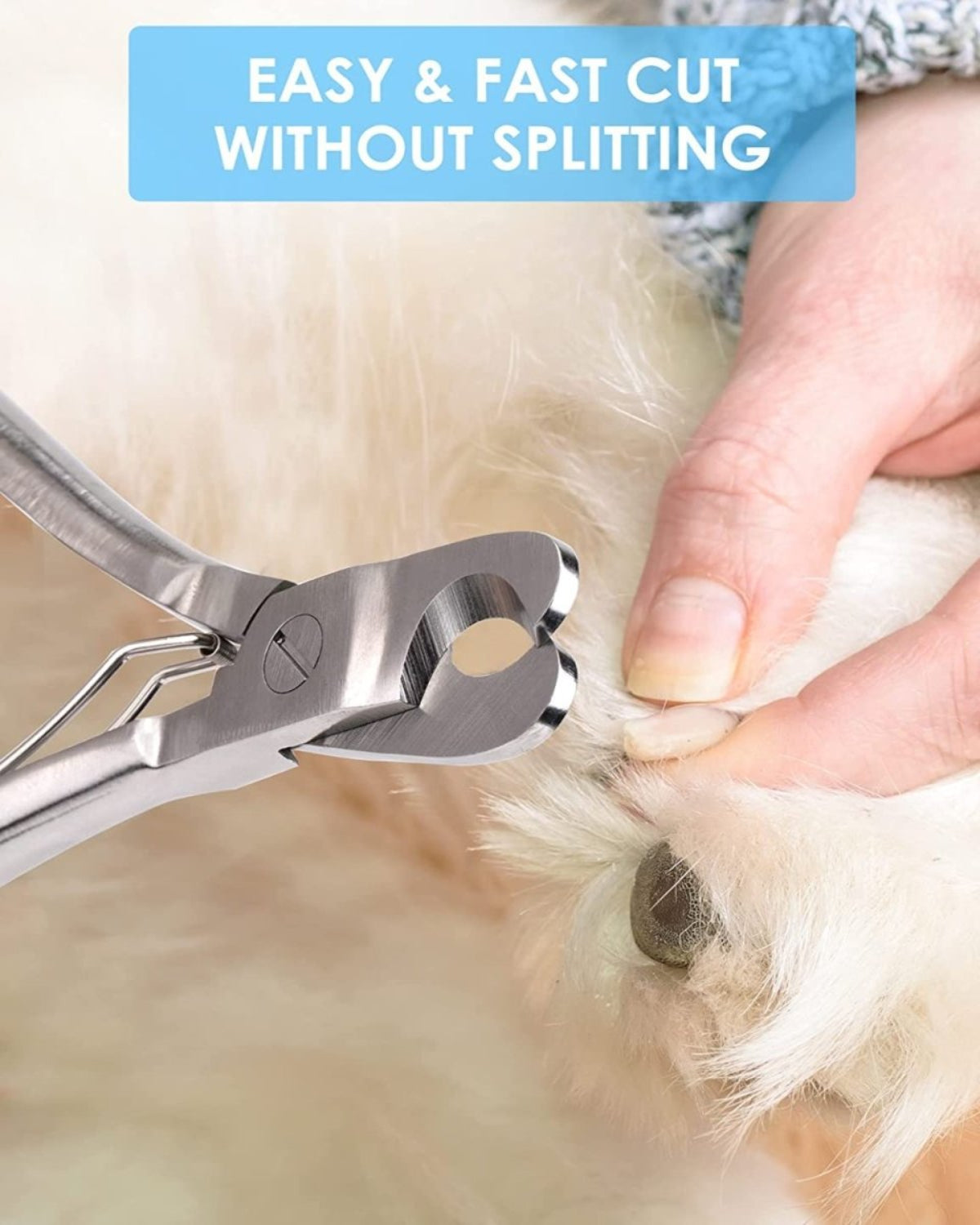 Dog Professional Heavy Duty Nail Clippers - Best Buddy Store