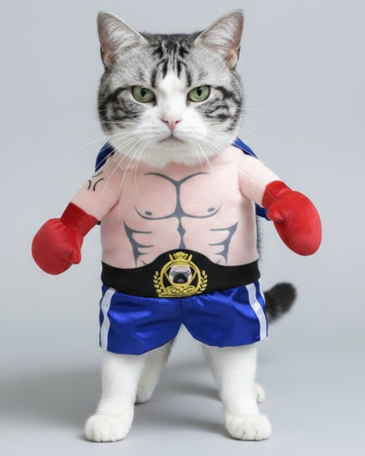 Funny Dog Cat Halloween Costume - Best Buddy Store