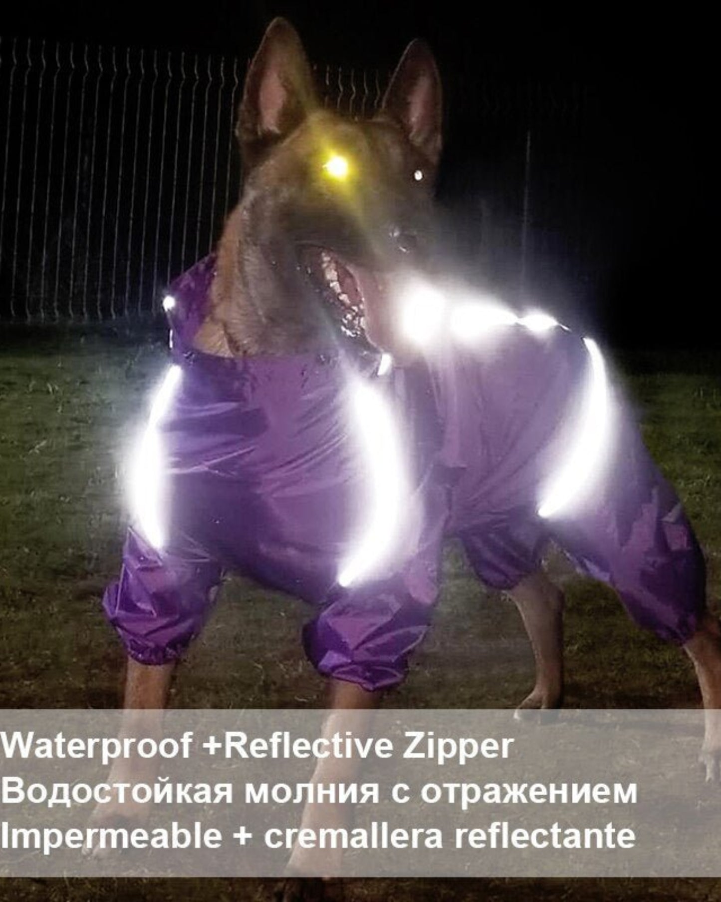 High Neck Hooded Waterproof Zipper Dog Reflective Raincoat - Best Buddy Store