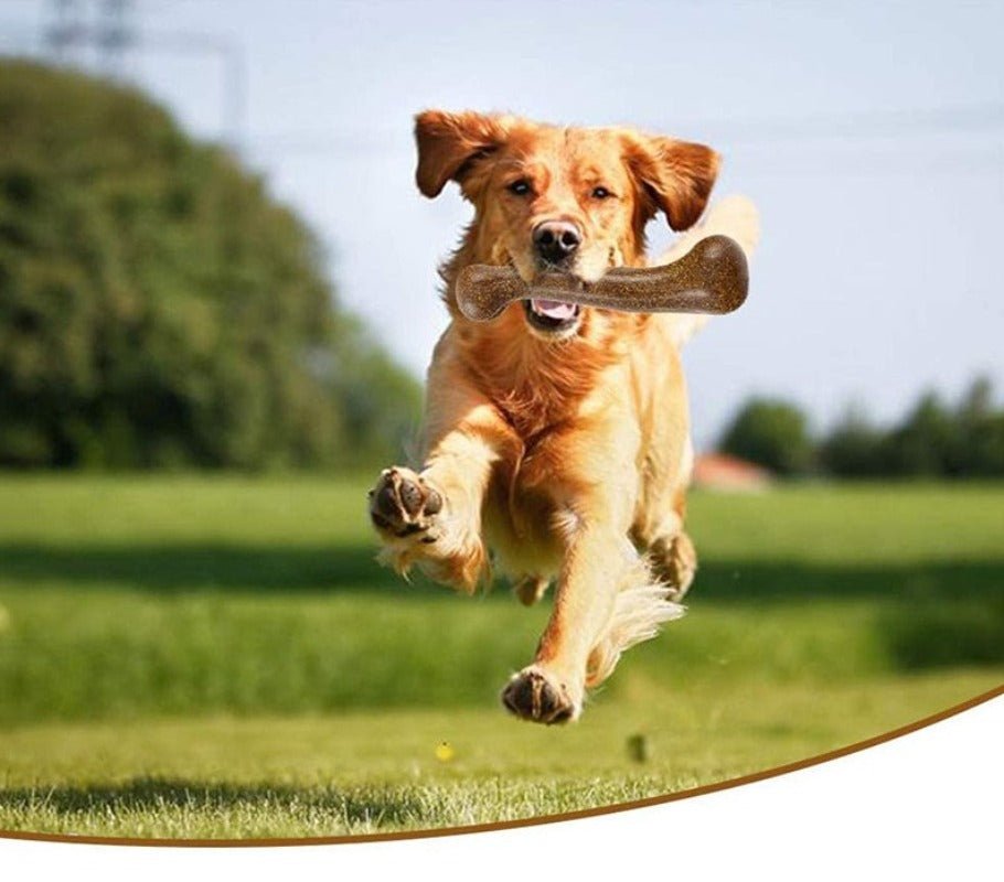 Indestructible Dog Bone Natural Non - Toxic Puppy Toy - Best Buddy Store