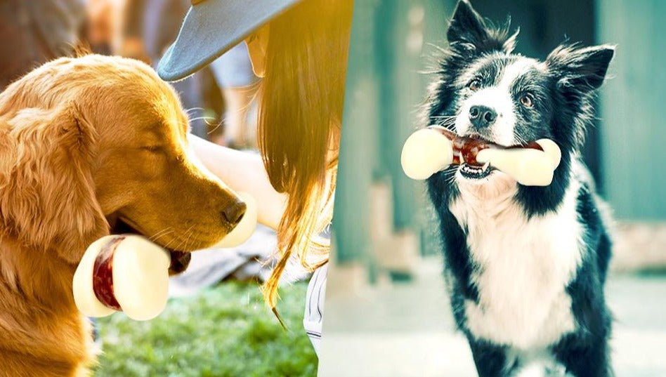 Indestructible Dog Chew Toy for Aggressive Chewers, Real Beef Flavor - Best Buddy Store