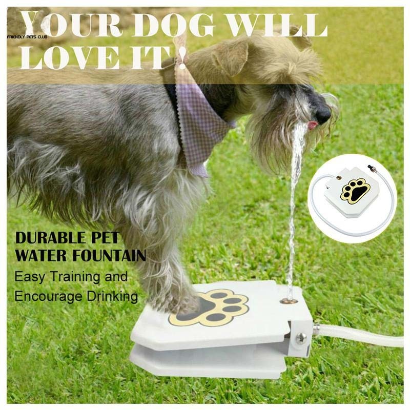 Outdoor Automatic Dog Water Fountain Step On Toy - BestBuddyStore