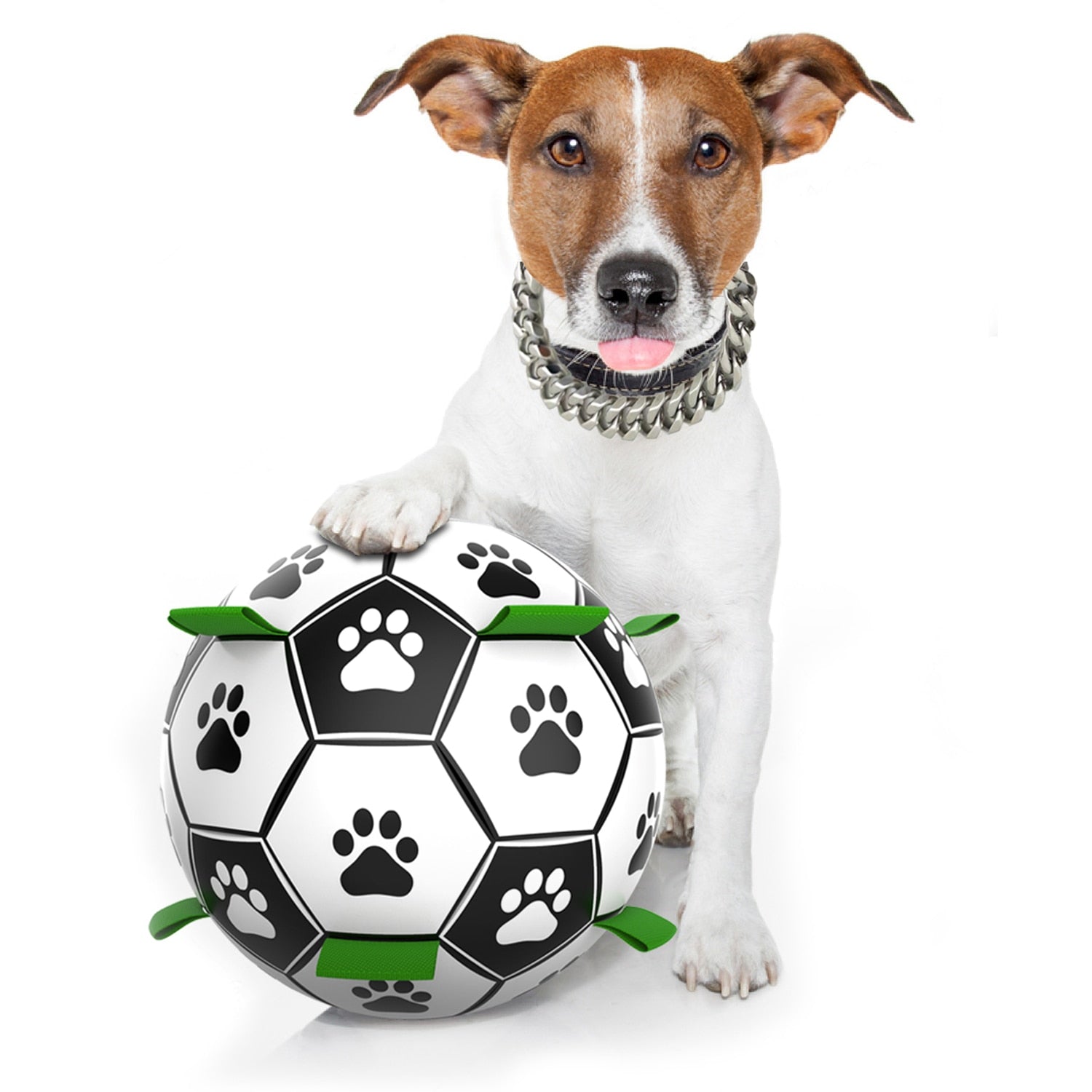 Durable Dog Ball IQ Puzzle Chew Toy Ball - 6.5in - BestBuddyStore