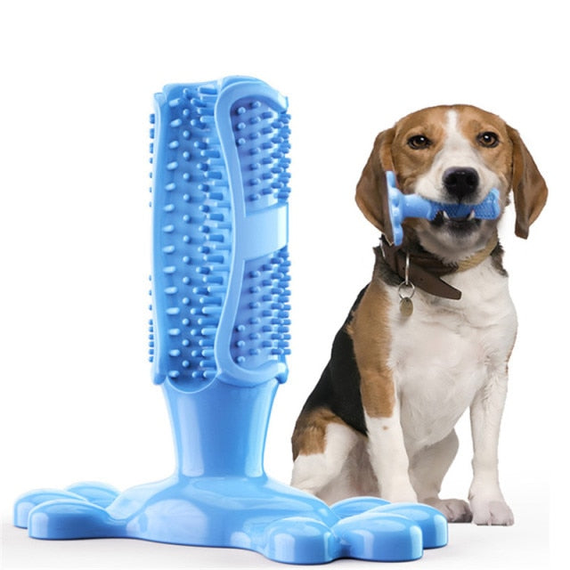 Dog Toothbrush Dental Care Molar Chewbrush - BestBuddyStore