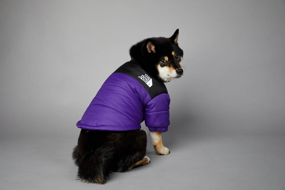Warm Windproof Winter Dog Coat Jacket - BestBuddyStore