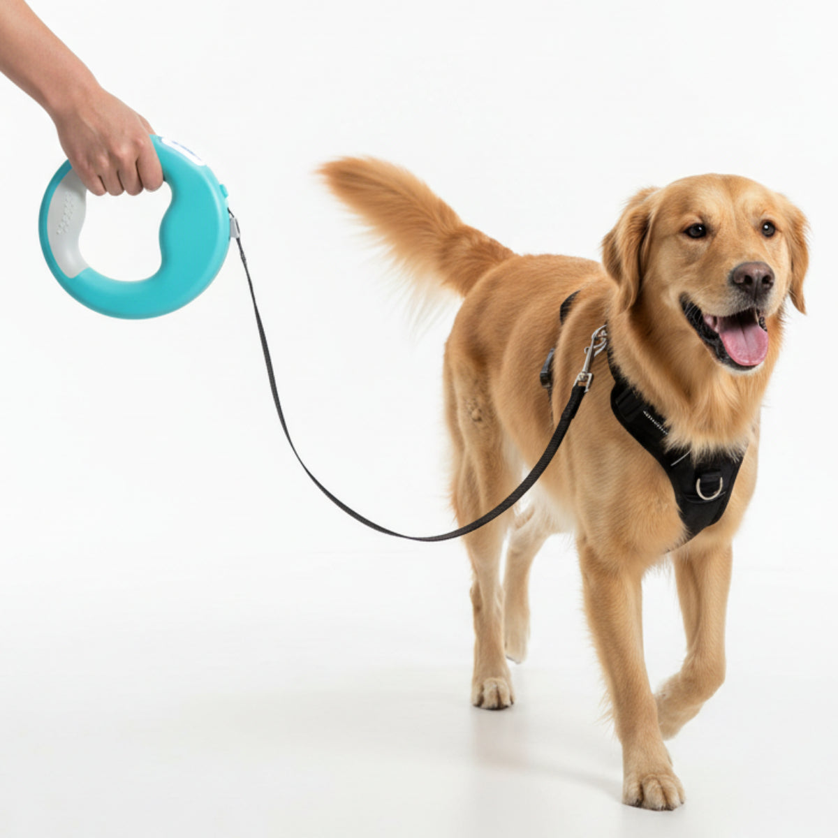 Retractable Dog Leash Led lighting Flexible Traction Rope Belt 10ft - Best Buddy Store