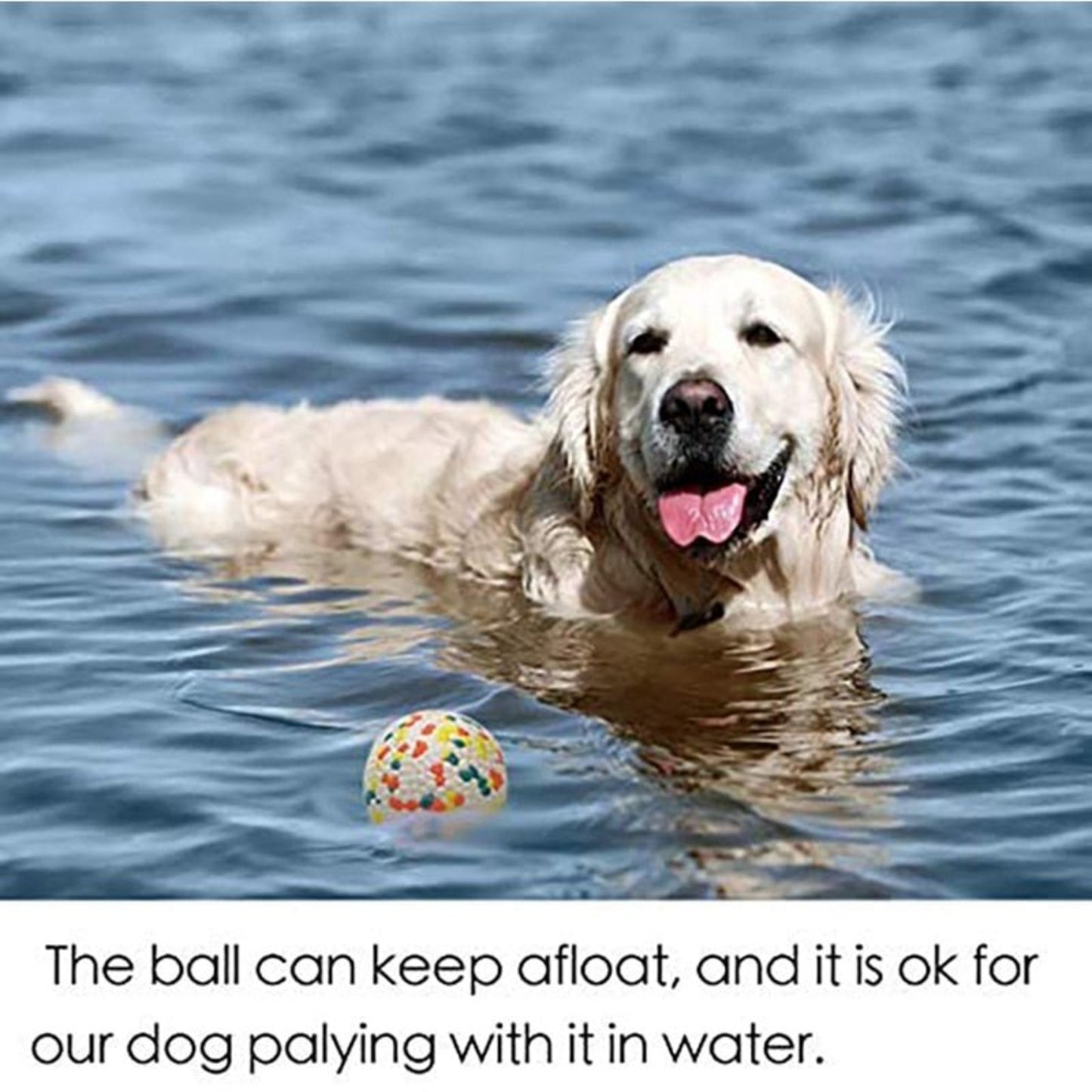 Solid Interactive Bite Resistant Dog Ball - Best Buddy Store