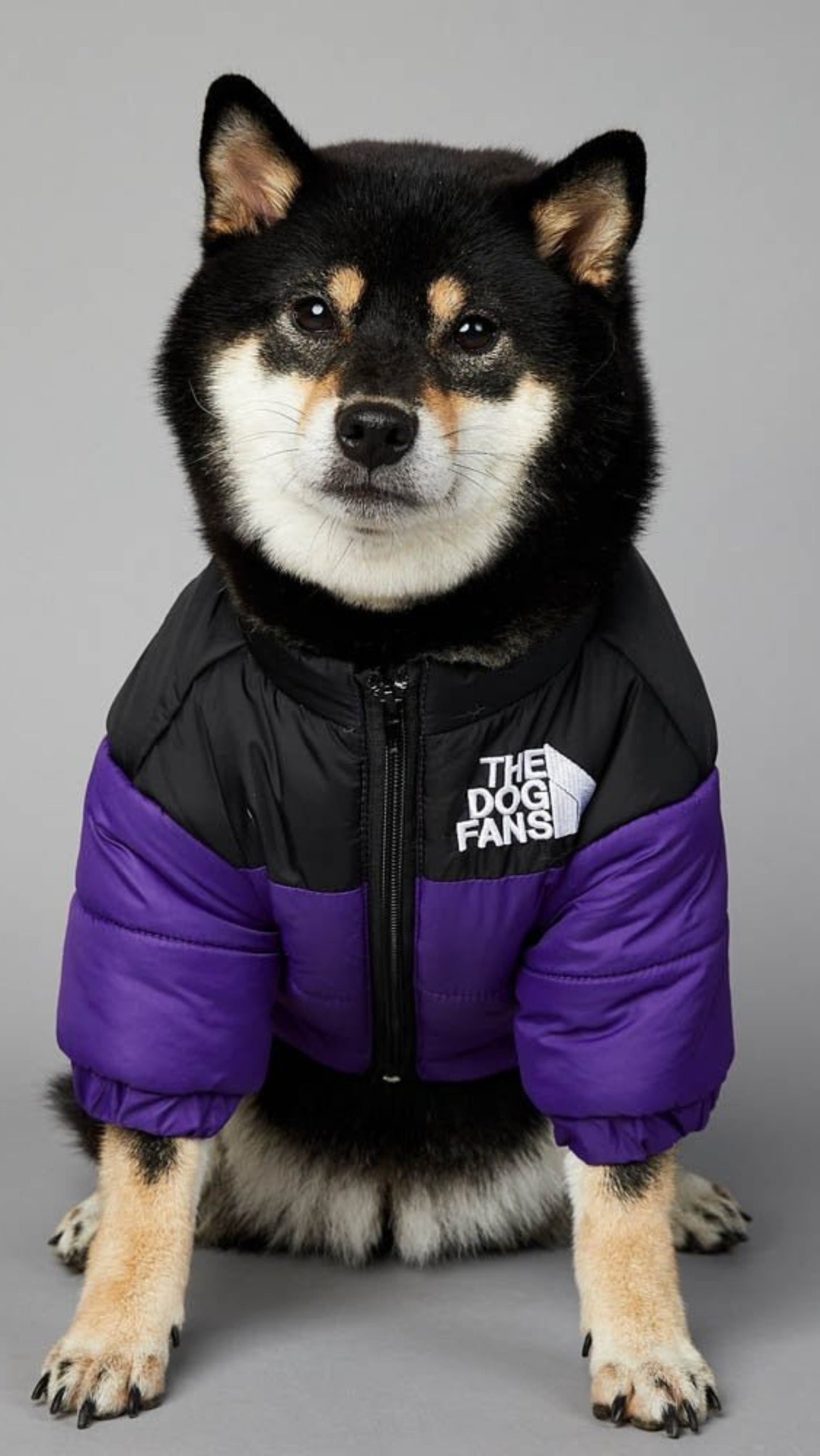 Warm Windproof Winter Dog Coat Jacket - Best Buddy Store