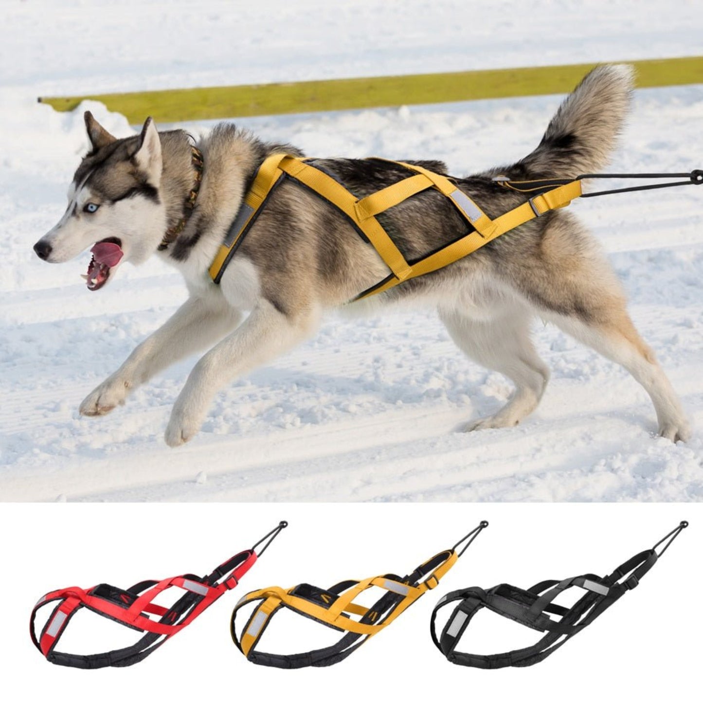 Waterproof Reflective Dog Harness for Sledding & Outdoor Adventures - Best Buddy Store