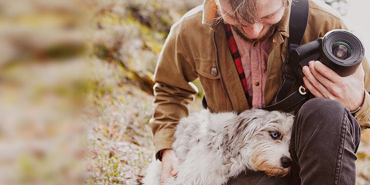 Are Dogs Color Blind? - BestBuddyStore