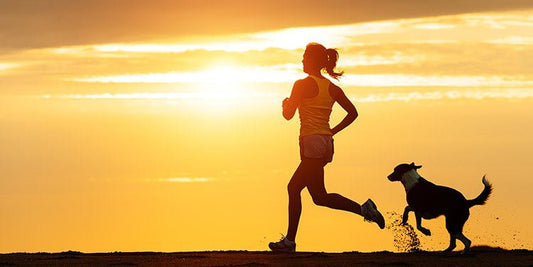 How to Run With Your Dog - BestBuddyStore