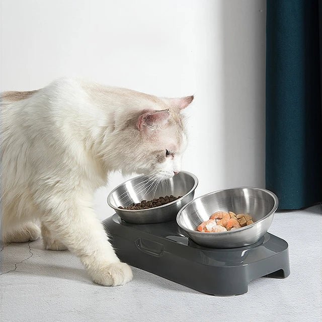 Cat Bowls & Feeders - BestBuddyStore