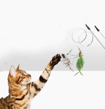 Cat Toys - BestBuddyStore