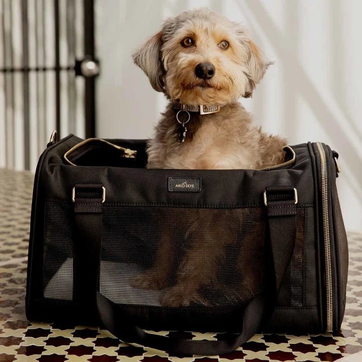 Dog Carriers & Travel - BestBuddyStore