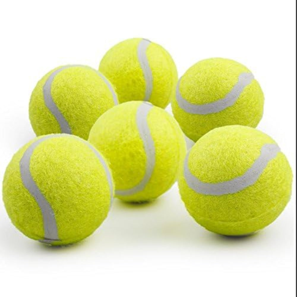 Lanzador automático de pelotas de tenis para perros 