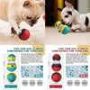 Interactive Dog Toy – Elliptical Track with Leaky Food