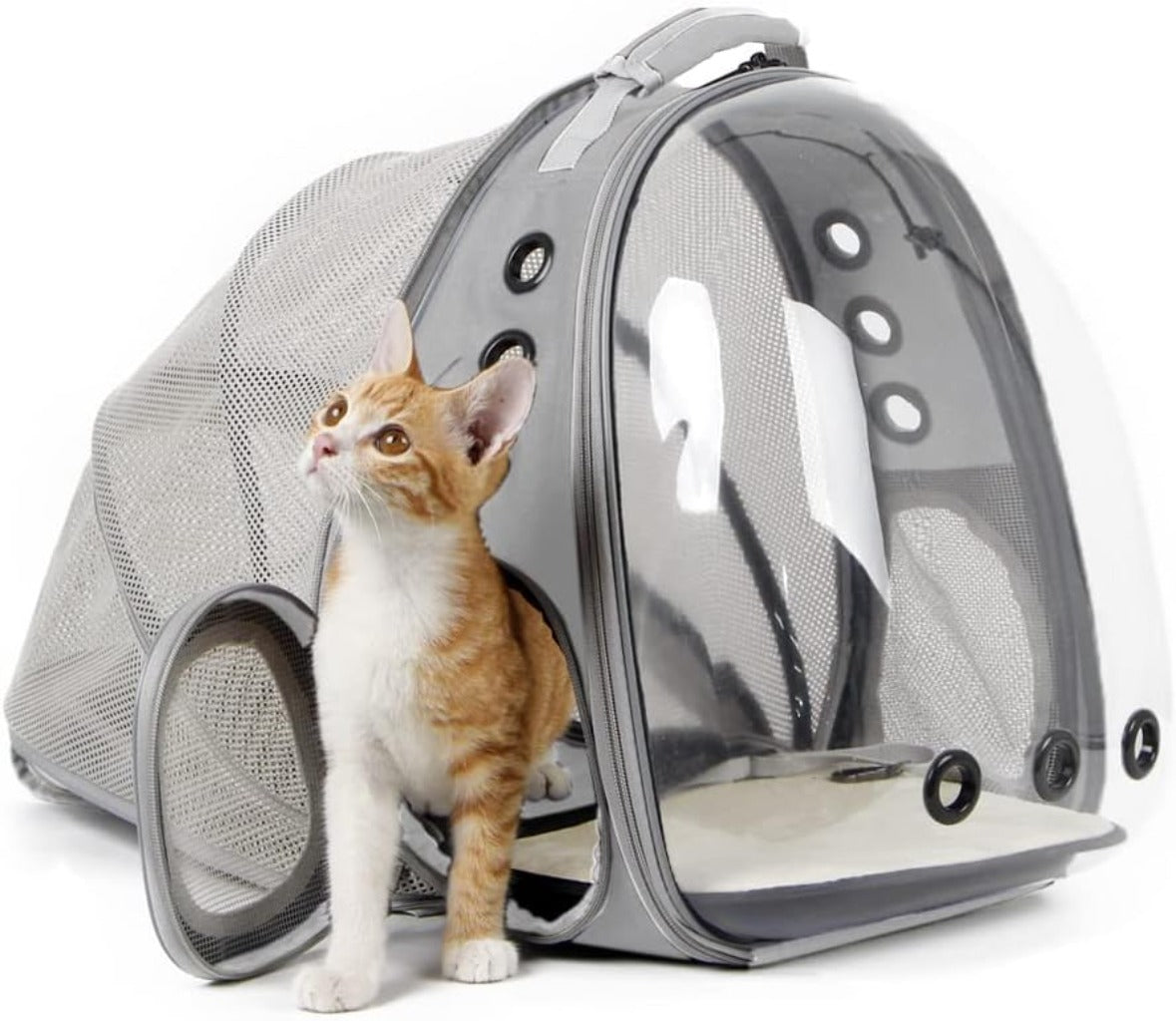 Portador de mochila para gatos expandible