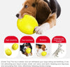 Dog Food Chew Leak Ball – Freeze Fillable Treat & Anxiety Reliever