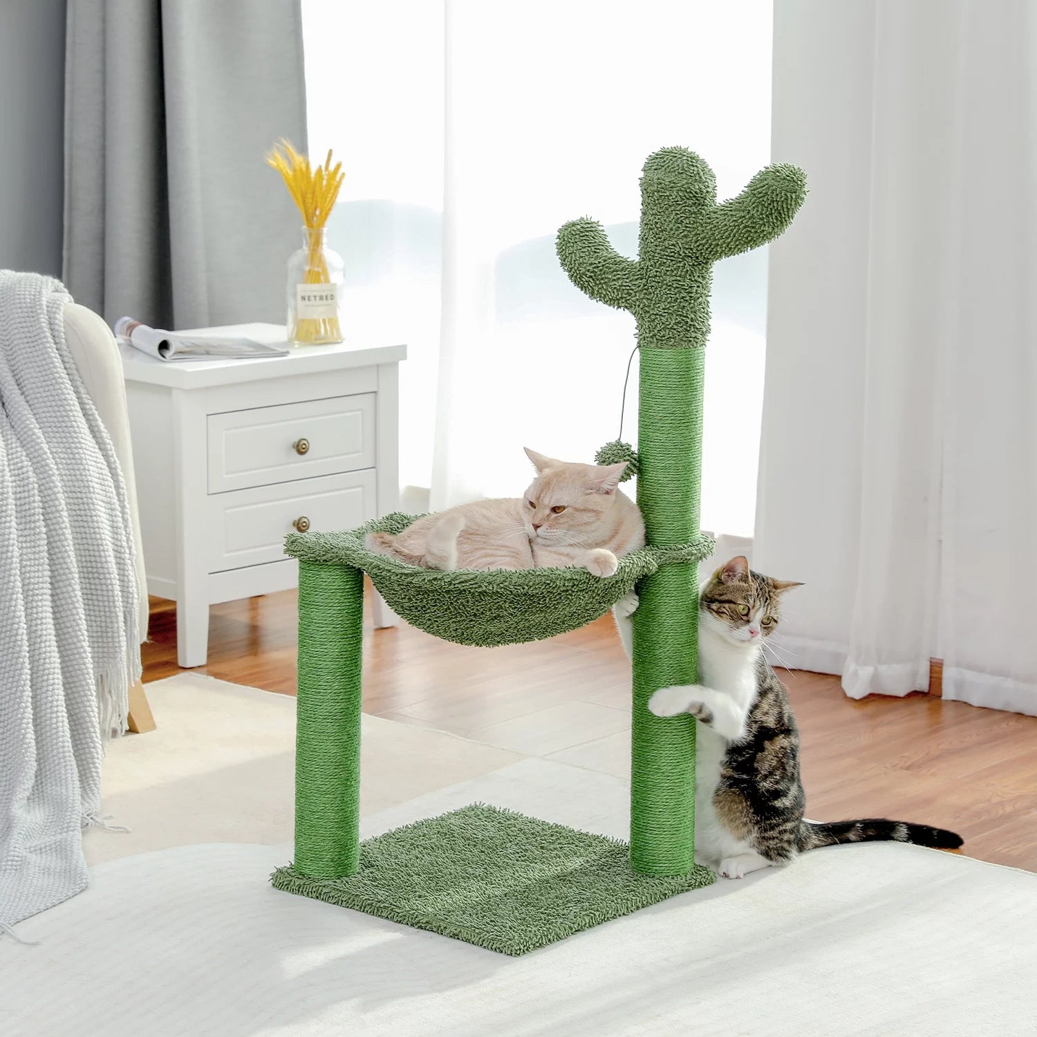 Arbre à chat moderne, tour de cactus, poteaux à gratter pour grands chats 