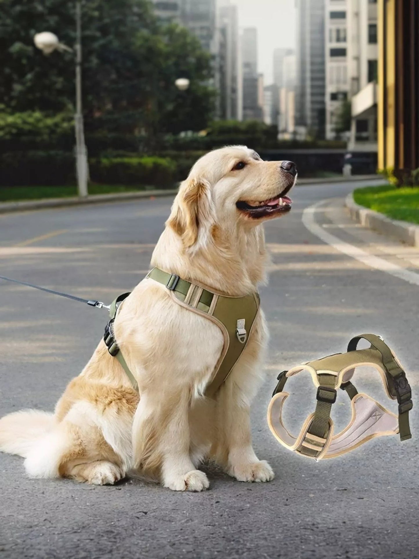Adjustable Reflective Dog Harness – No-Pull