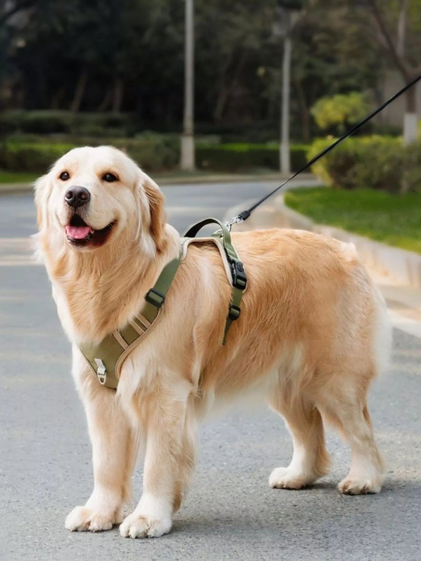 Adjustable Reflective Dog Harness – No-Pull