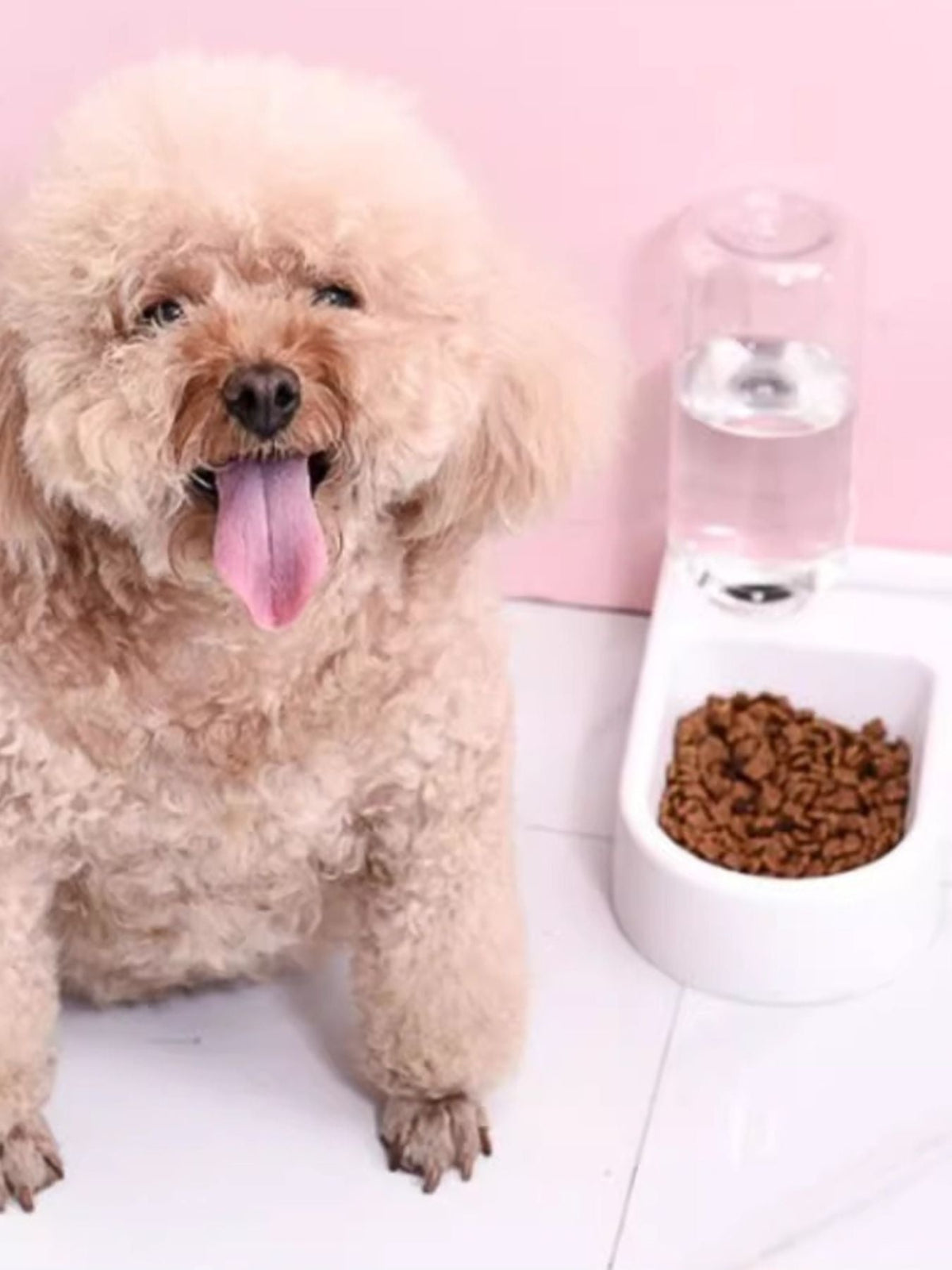 Automatic Water Refilling Pet Bowl