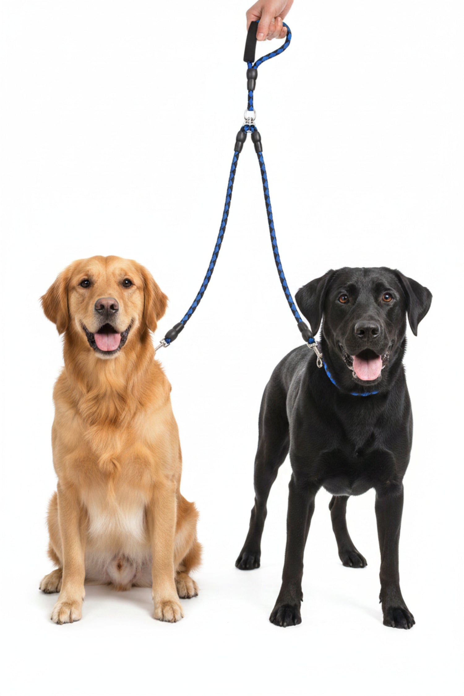 Braided Dog Leash with Handle