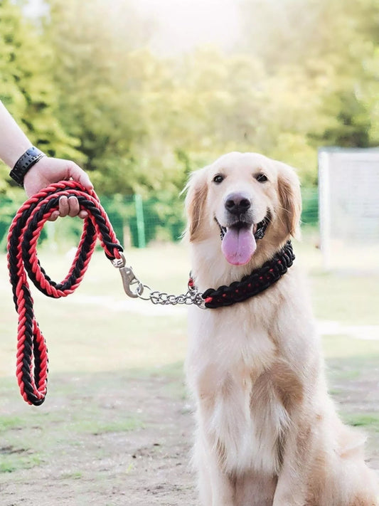 Braided Rope Dog Leash with Metal Clasp