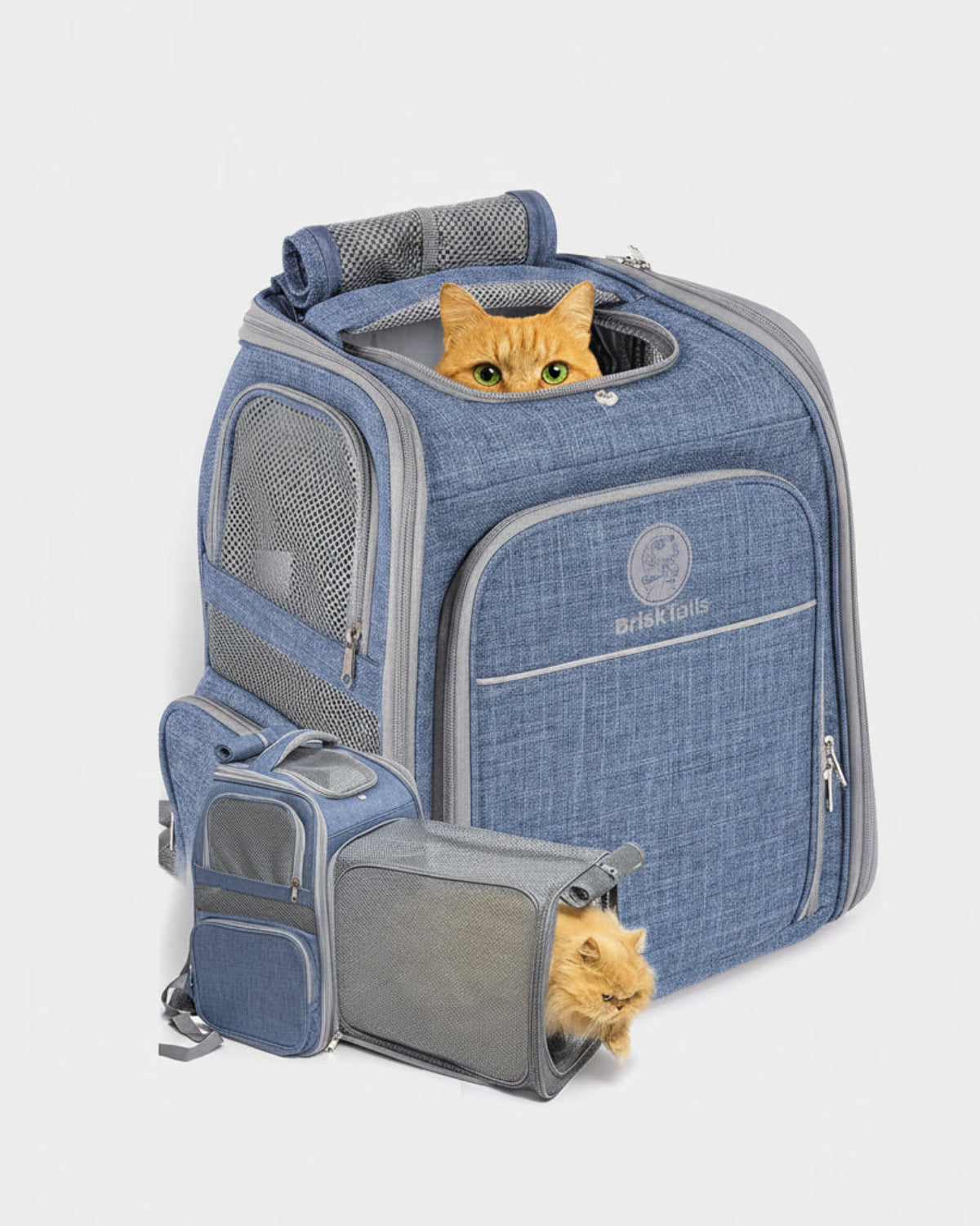 Breathable Pet Backpack Carrier — Expandable, Airline-Compatible