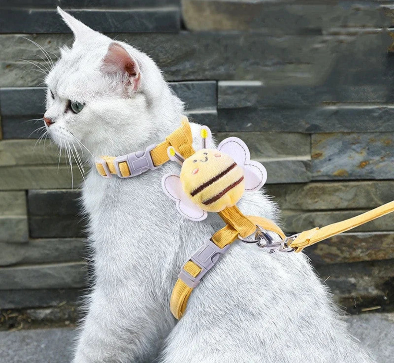 Cartoon Bee Cat Harness & Leash Set