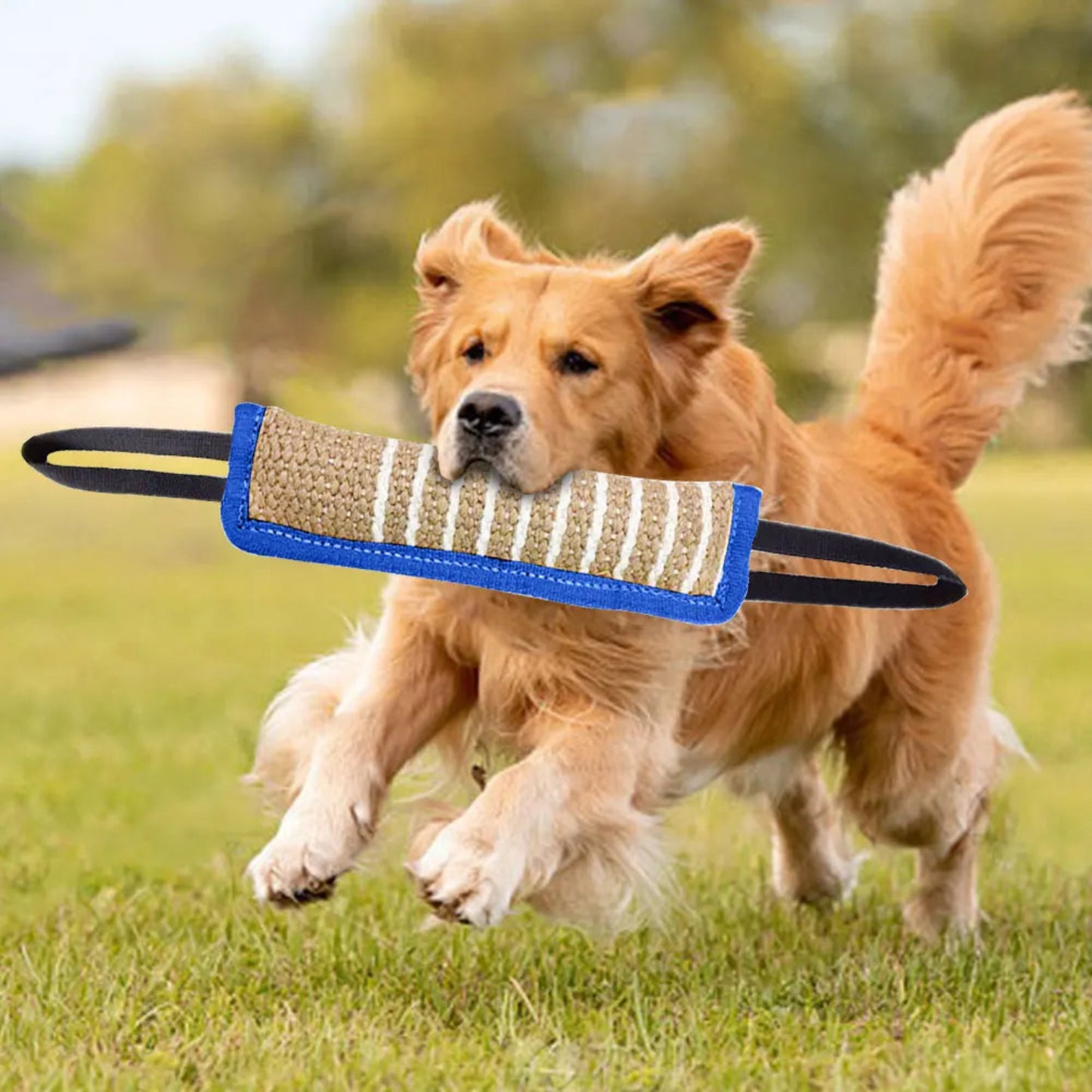 Dog Bite Tug Toy