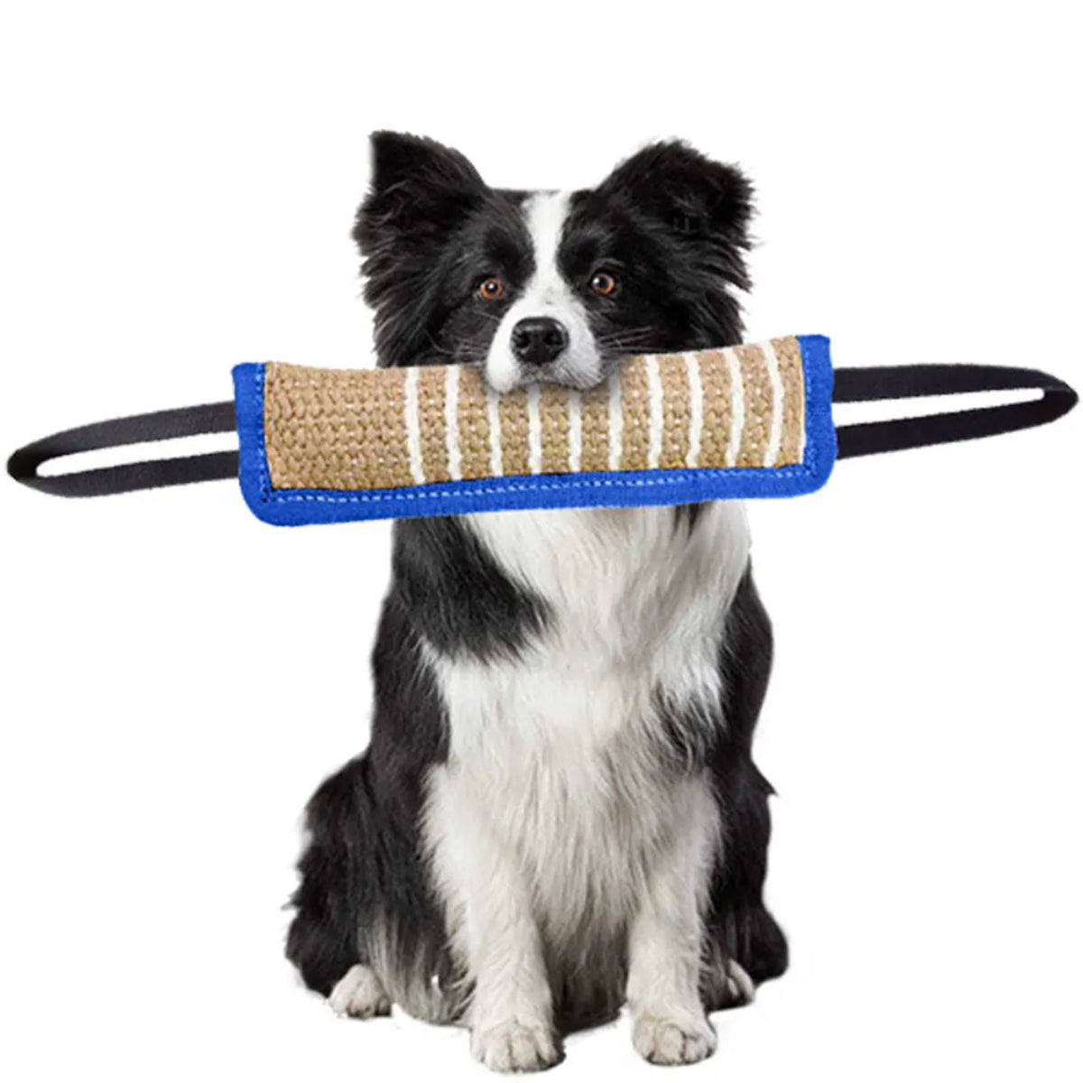 Dog Bite Tug Toy