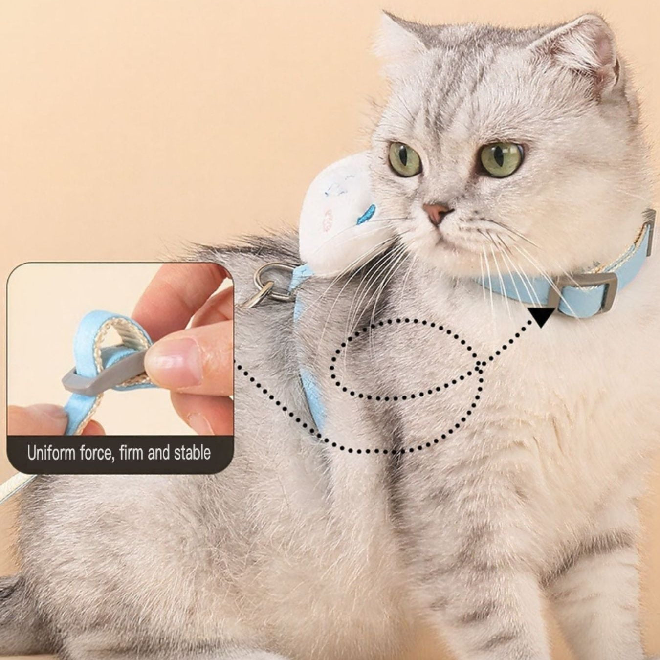 Escape-Proof Cat Harness & Leash Set