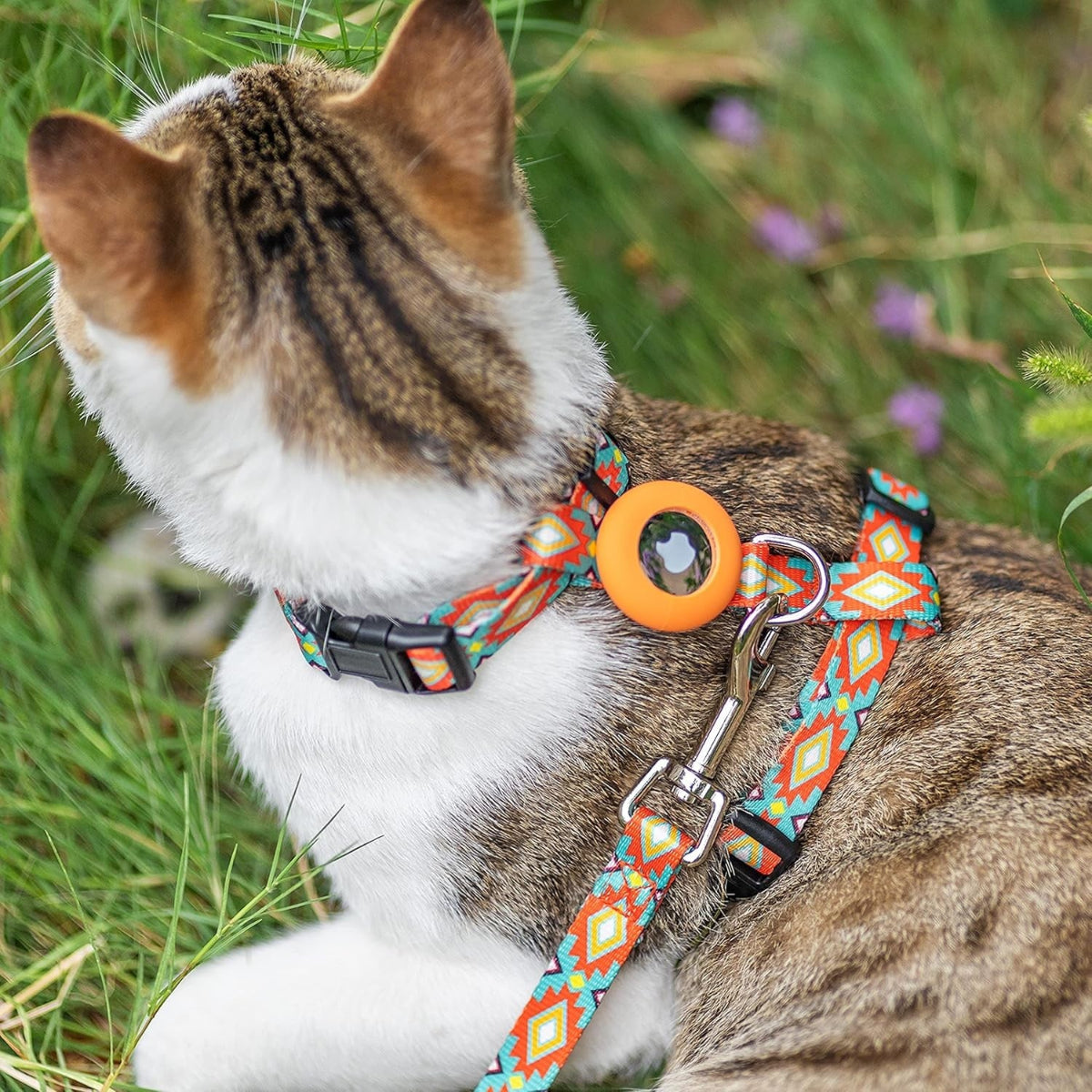Escape-Proof Cat Harness & Leash Set