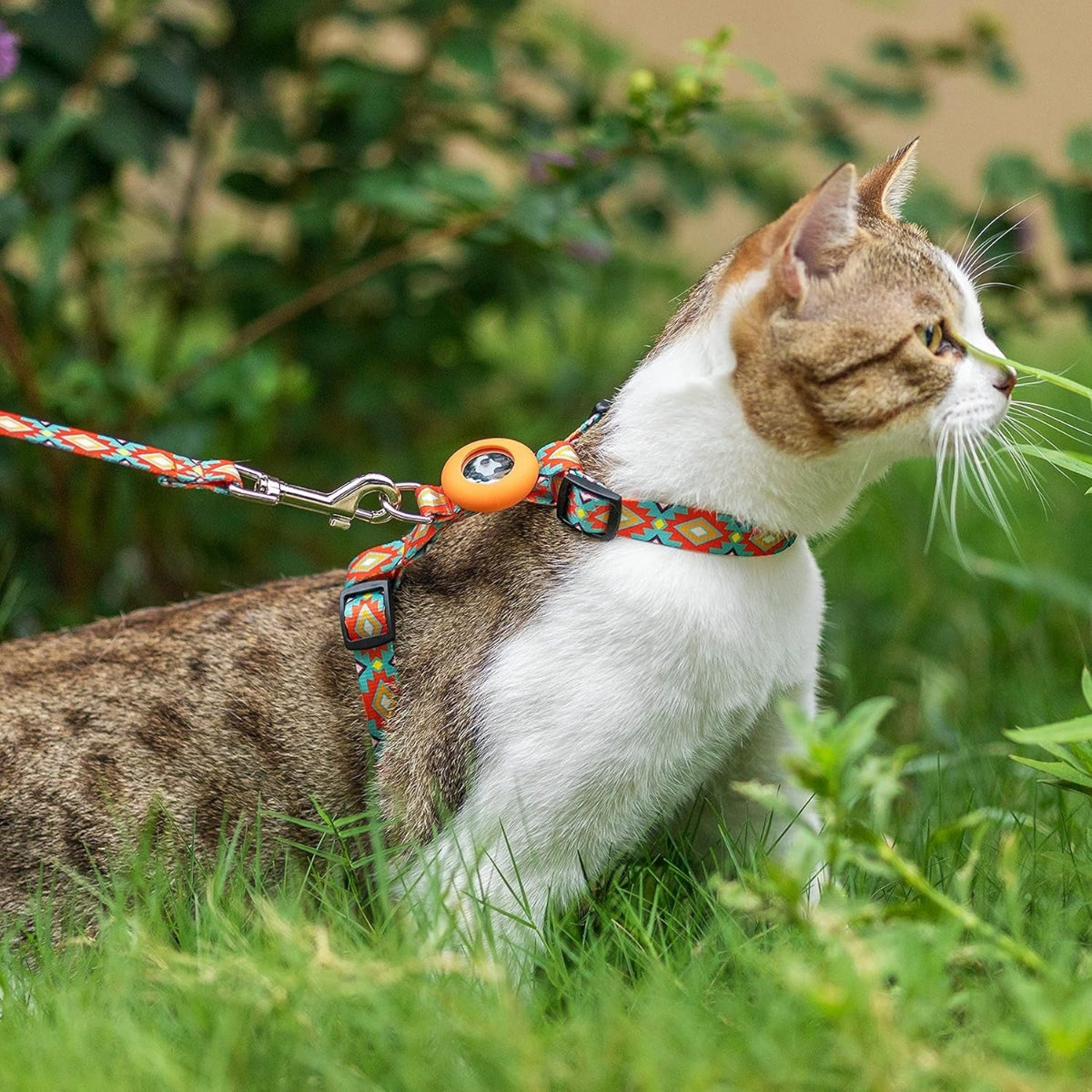 Escape-Proof Cat Harness & Leash Set