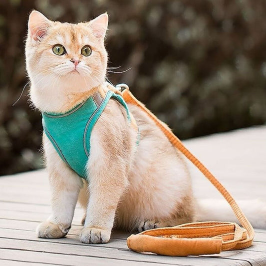 Escape-Proof Cat Harness and Leash Set