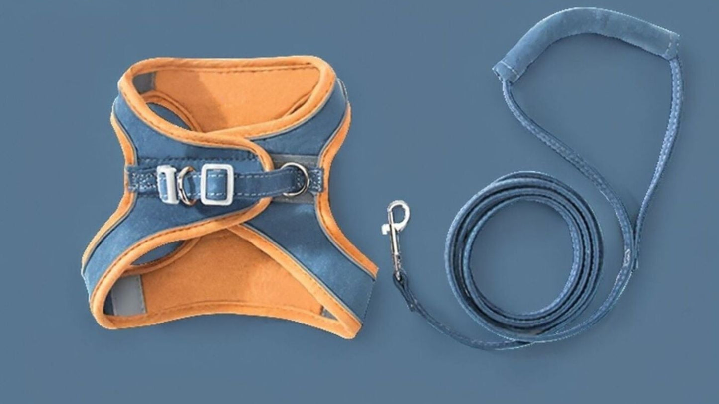 Escape-Proof Cat Harness and Leash Set