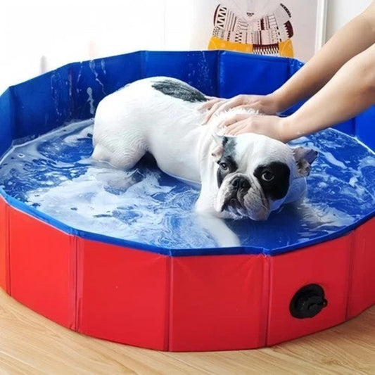 Foldable Pet Pool & Bathtub