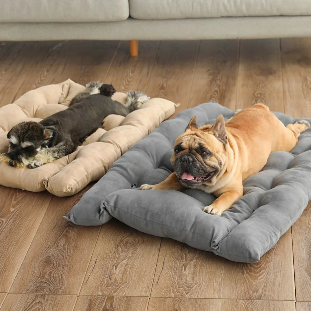 Warm Dog Bed Sofa – Soft Cushion for Pets - BestBuddyStore