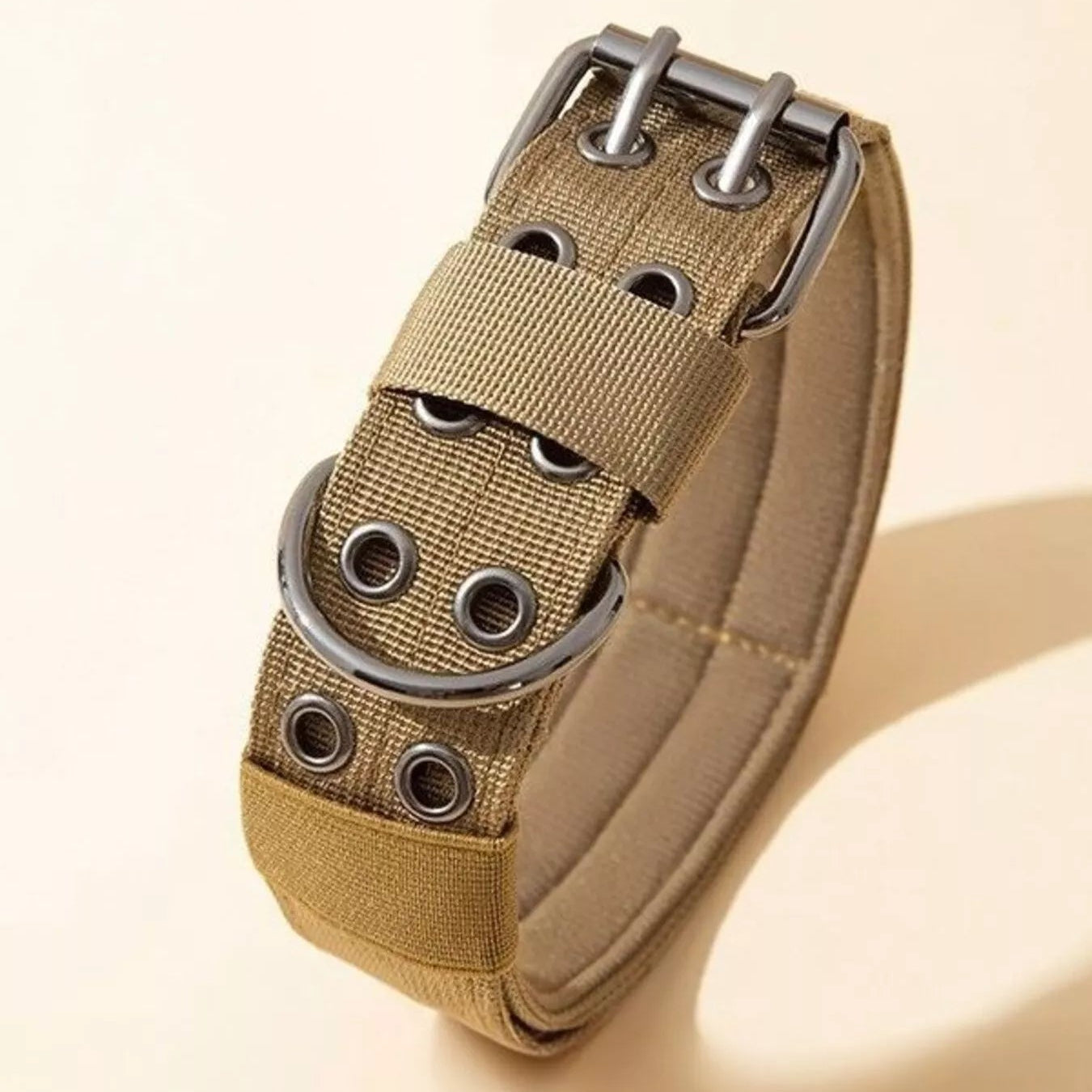 Martingale Dog Collar – Neck Guard, No-Escape