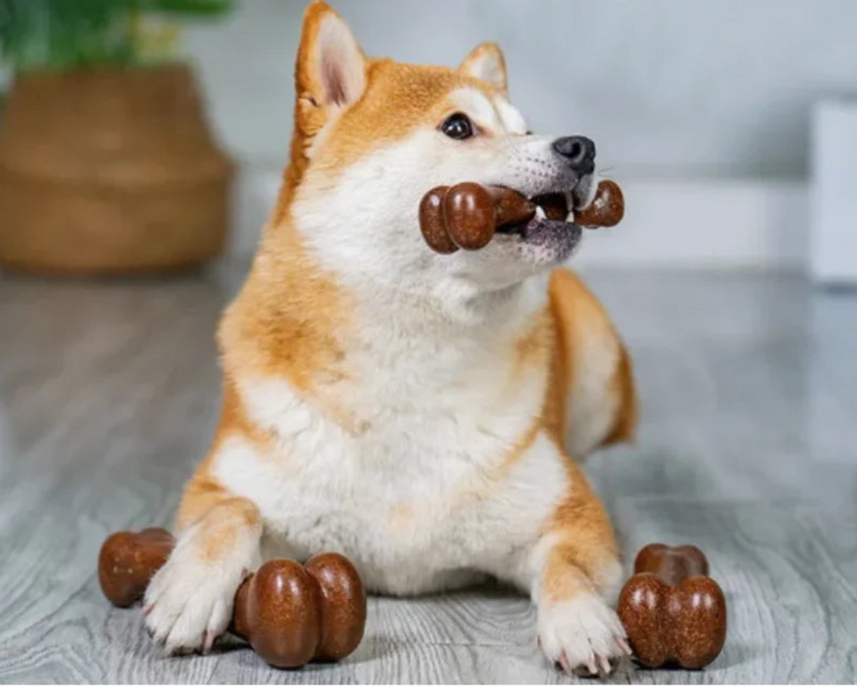 Natural Wood Dog Chew Bone Toy