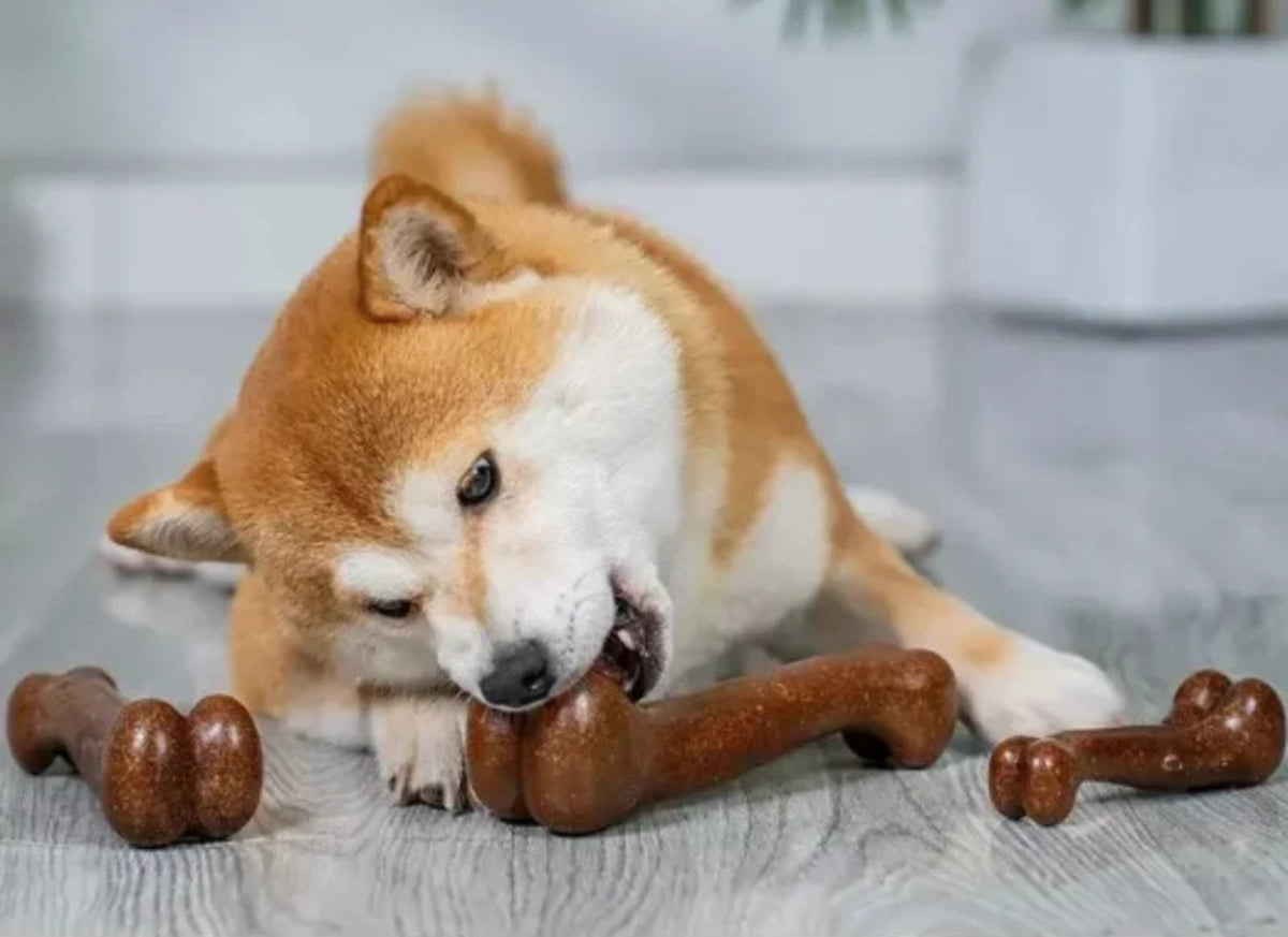 Natural Wood Dog Chew Bone Toy